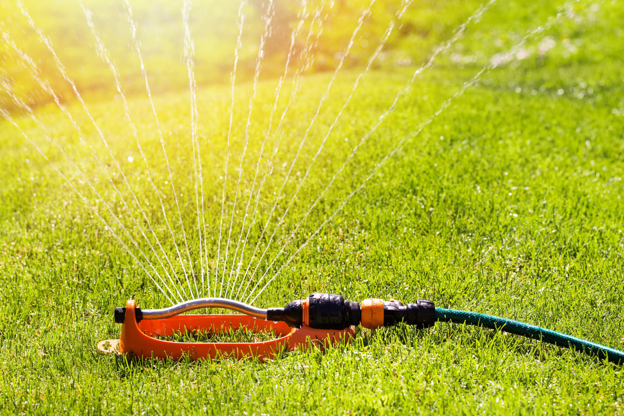 Smart Watering - Munie Greencare Professionals